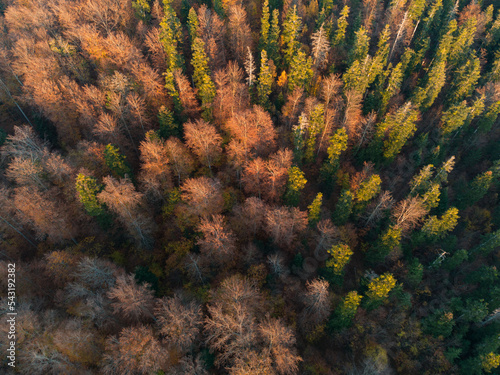Autumn landscape from above