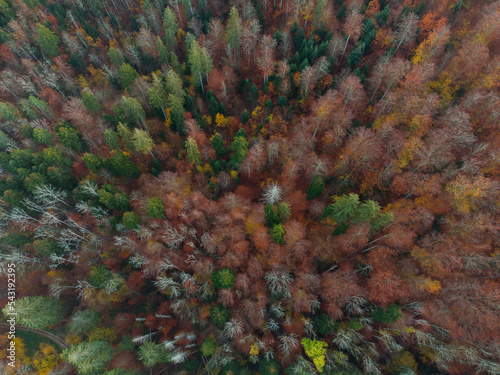 Fototapeta Naklejka Na Ścianę i Meble -  Autumn landscape from above