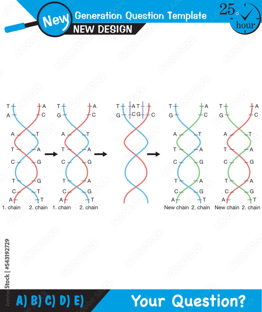 Vetor de Biology, DNA helix, DNA replication, next generation question ...