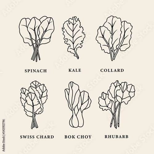 Collection of line art leafy greens