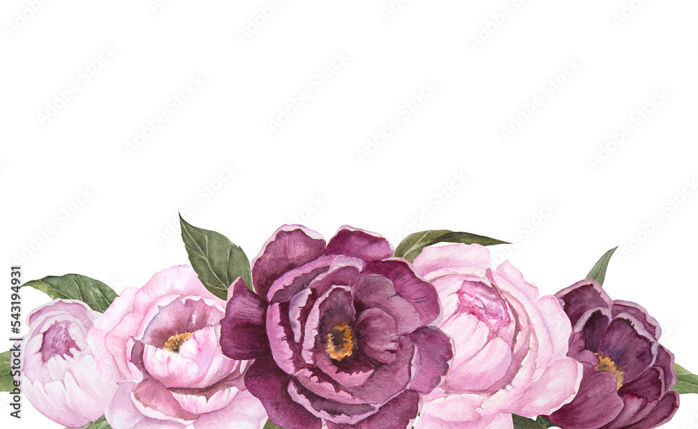 Flower watercolor illustration of peonies isolated, bouquet of flowers, horizontal banner Flower watercolor illustration of peonies isolated, bouquet of flowers, horizontal banner