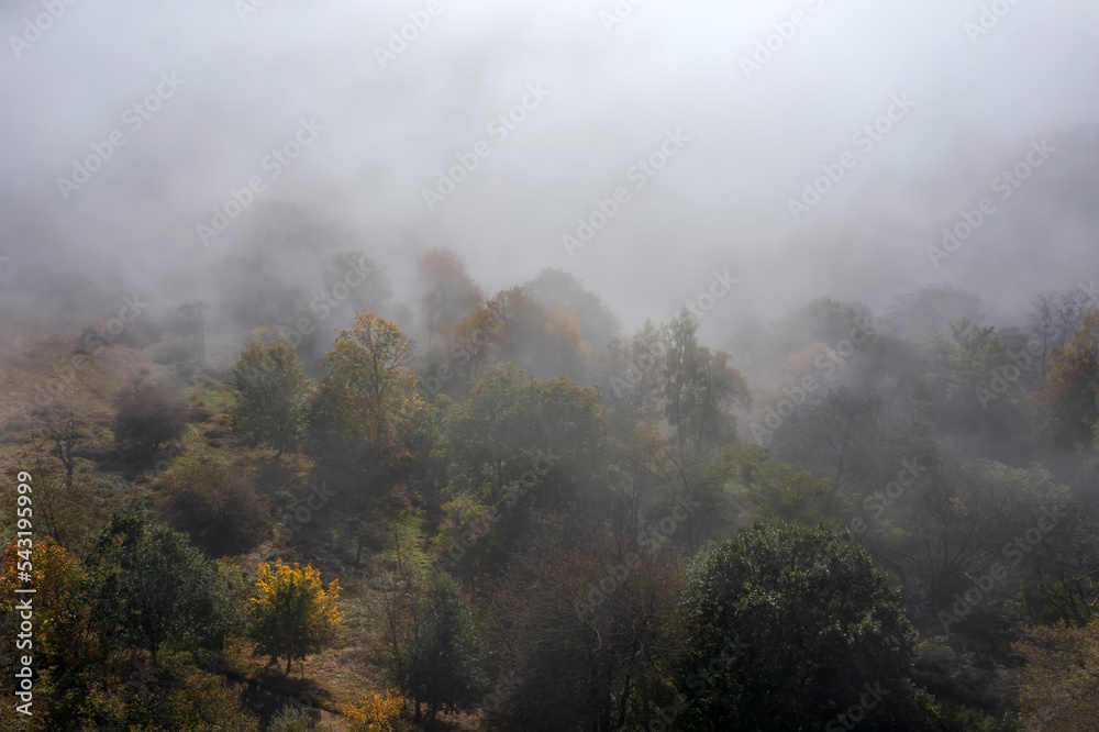 Aerial view of wafts of fog over a forest in Taunus/Germany in autumn Aerial view of wafts of fog over a forest in Taunus/Germany in autumn