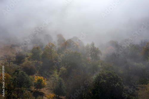 Aerial view of wafts of fog over a forest in Taunus/Germany in autumn