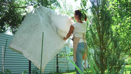 woman gardener shelters the crown of a fruit tree from birds. the mistress of the garden takes care of the harvest of fruit trees. High quality 4k footage