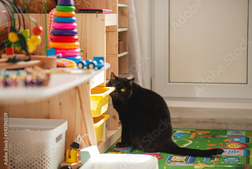 Black cat in the children's room. Cabinets for storing toys. Lots of different, bright children's toys.