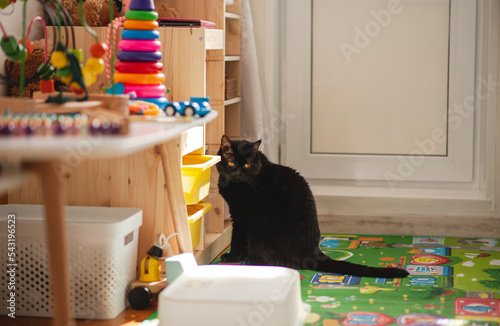 Black cat in the children's room. Cabinets for storing toys. Lots of different, bright children's toys.