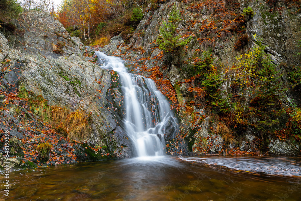Obraz premium Cascade of Bayehon the highest waterfall of Belgium in the Ardennes, the Bayehon is a wild stream that rises in Neûr Lowé Fen. In Longfaye it hurls itself into the depths as a waterfall.