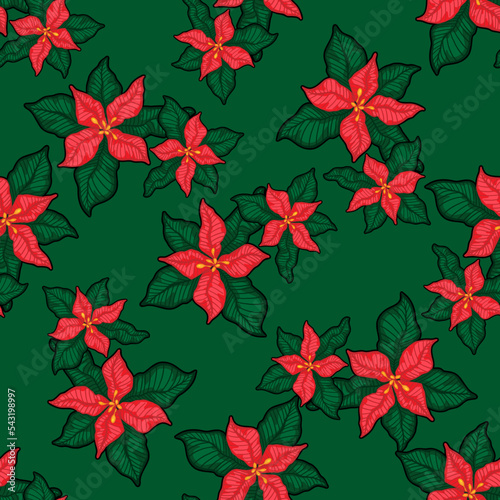 Poinsettia flower vector seamless pattern