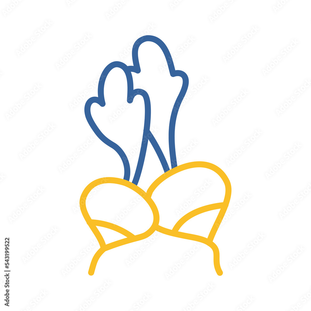 Radish isolated design vector icon. Vegetable sign Radish isolated design vector icon. Vegetable sign