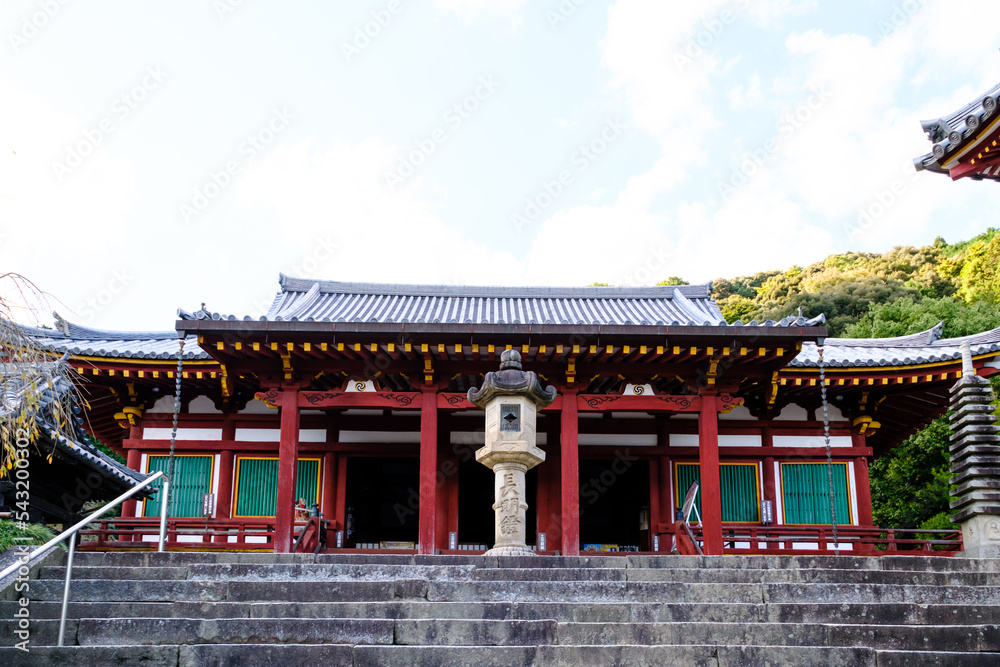 Obraz premium 【奈良県】大和郡山市 矢田寺(金剛山寺)
