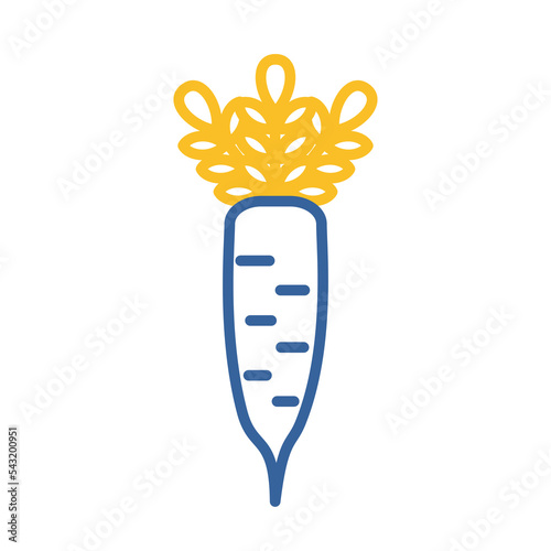 Japanese daikon radish with leaf vector icon