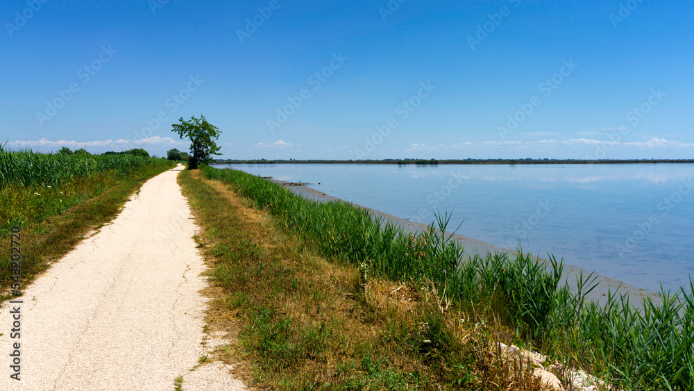 Landscape along the cycleway of Sile river in Venice province