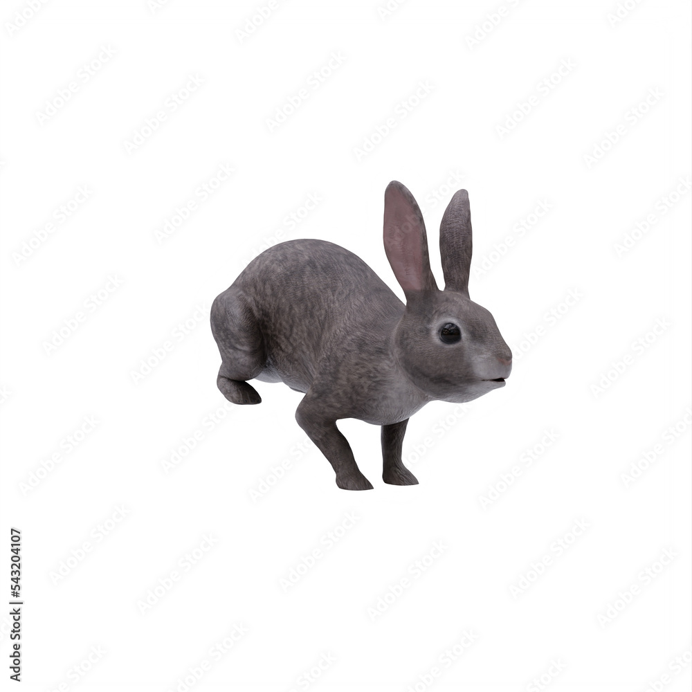 Obraz premium white rabbit isolated on white