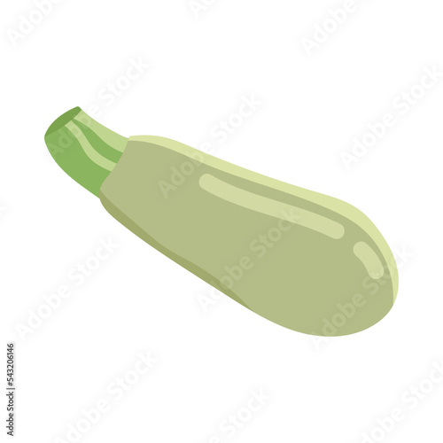 Vitamin A-enriched vegetable marrow or zucchini cartoon illustration. Organic marrow. Healthcare, nutrition concept