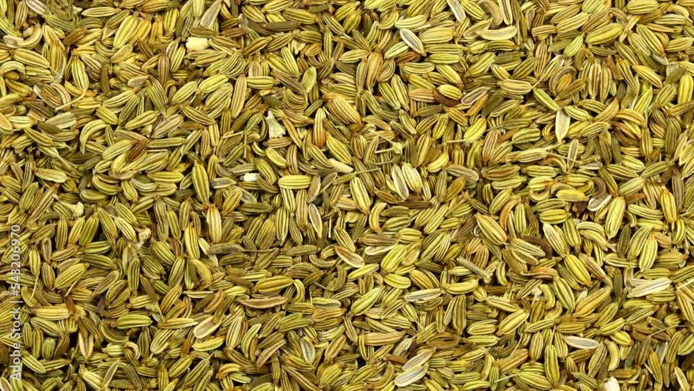 Fennel seeds, medicinal drug and spice on a turn table Fennel seeds, medicinal drug and spice on a turn table