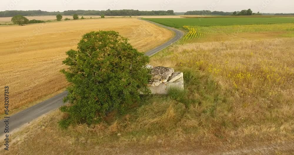 Dolmen de la Forêt, proche de St des Sept voies (49) Stock