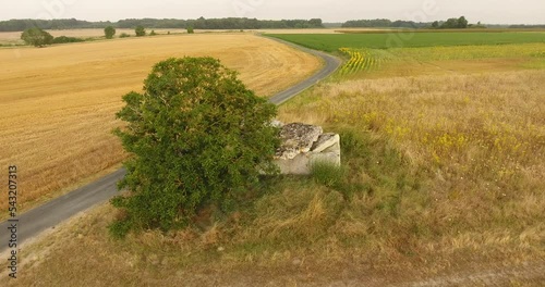 Dolmen de la Forêt, proche de St Georges des Sept voies (49) photo