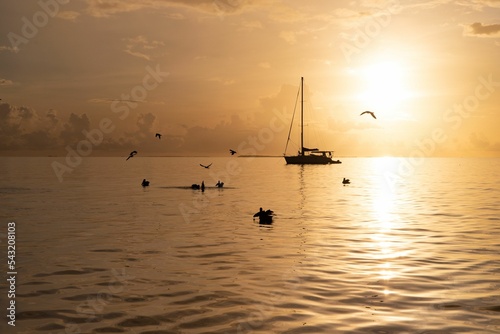 Boat sailing on the sea over a background of a sunset at golden hour