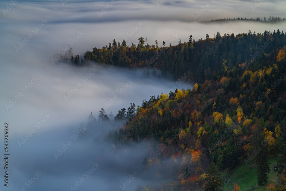 Foggy morning in the Slovak mountains.