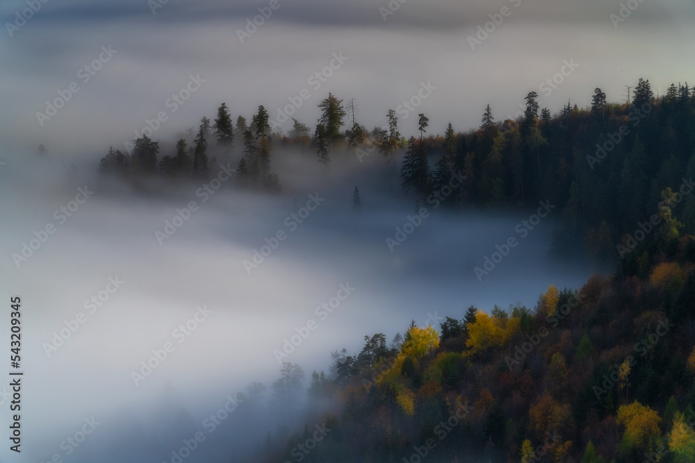 Foggy morning in the Slovak mountains.