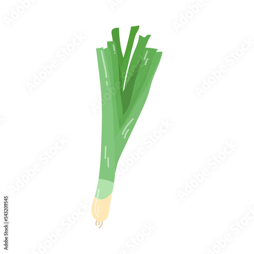 Vitamin A-enriched green onion cartoon illustration. Organic green onion. Healthcare, nutrition concept