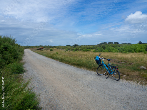 Fototapeta Naklejka Na Ścianę i Meble -  Vélo, piste cyclable sur l'Île d'Yeu, Vendée, Pays de la Loire, France

