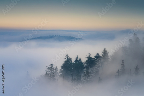 Foggy morning in the Slovak mountains.
