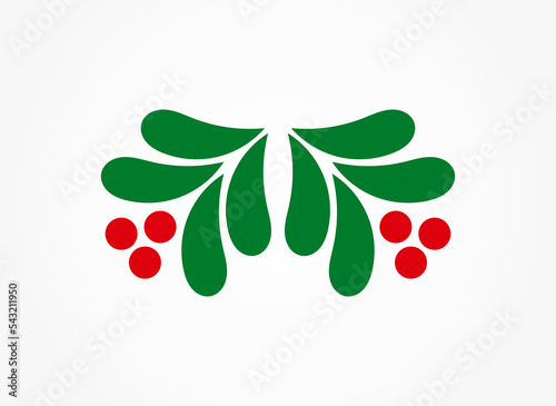 Christmas holly mistletoe decoration leaves and fruits.