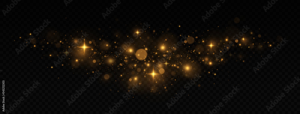 Sparkling space golden magical dust particles. Christmas light concept. Golden confetti and shiny stars