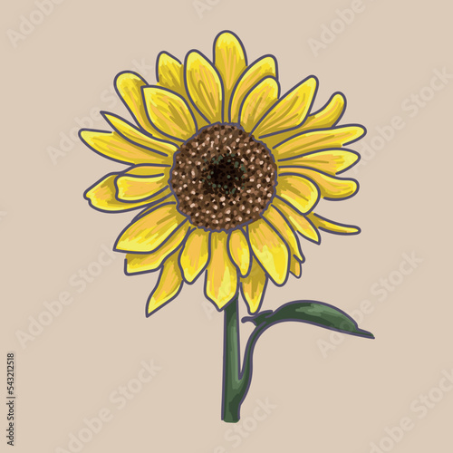 Sunflower. Made in vector graphics.