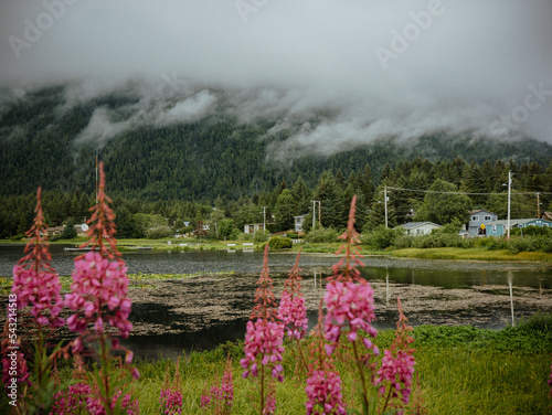 Scenery view of the Swan Lake at Halibut point road, Sitka, Alaska. photo
