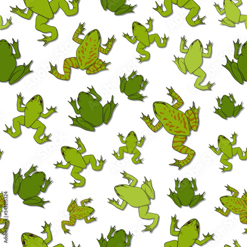 Seamless pattern with green river frogs. Color vector background with shadow on white. © rizik_pic