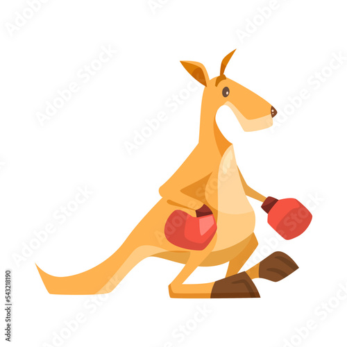 Cute kangaroo in boxing gloves vector illustration. Comic animal with pouch from Australia isolated on white background. Wildlife concept