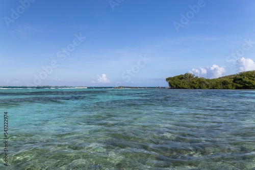 Beautiful tranquil sea with trees in the background under a blue sky during the daytime