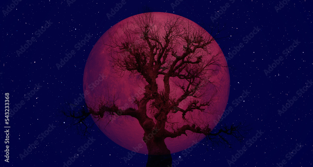 Lone tree with Lunar eclipse and blood moon Lone tree with Lunar eclipse and blood moon
