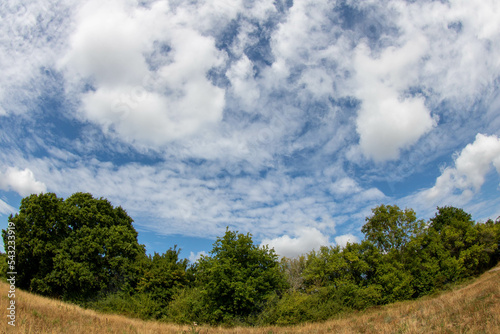 beautiful blue sky with wispy clouds over trees and english countryside taken with a fisheye lens