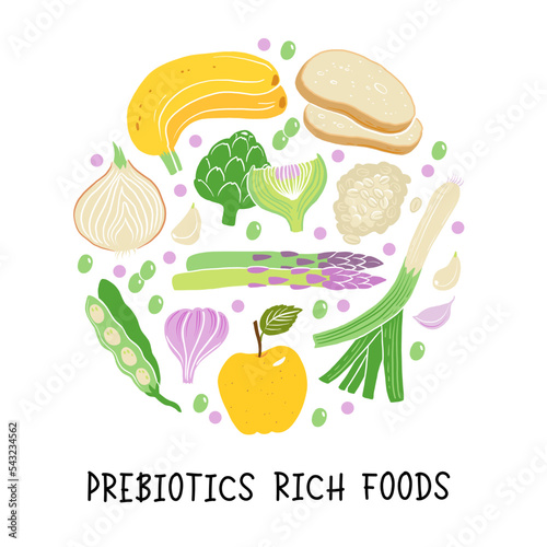 Prebiotic products, sources of these bacteria, nutrient rich food. Flat vector illustration of soy beans asparagus onion banana garlic artichoke