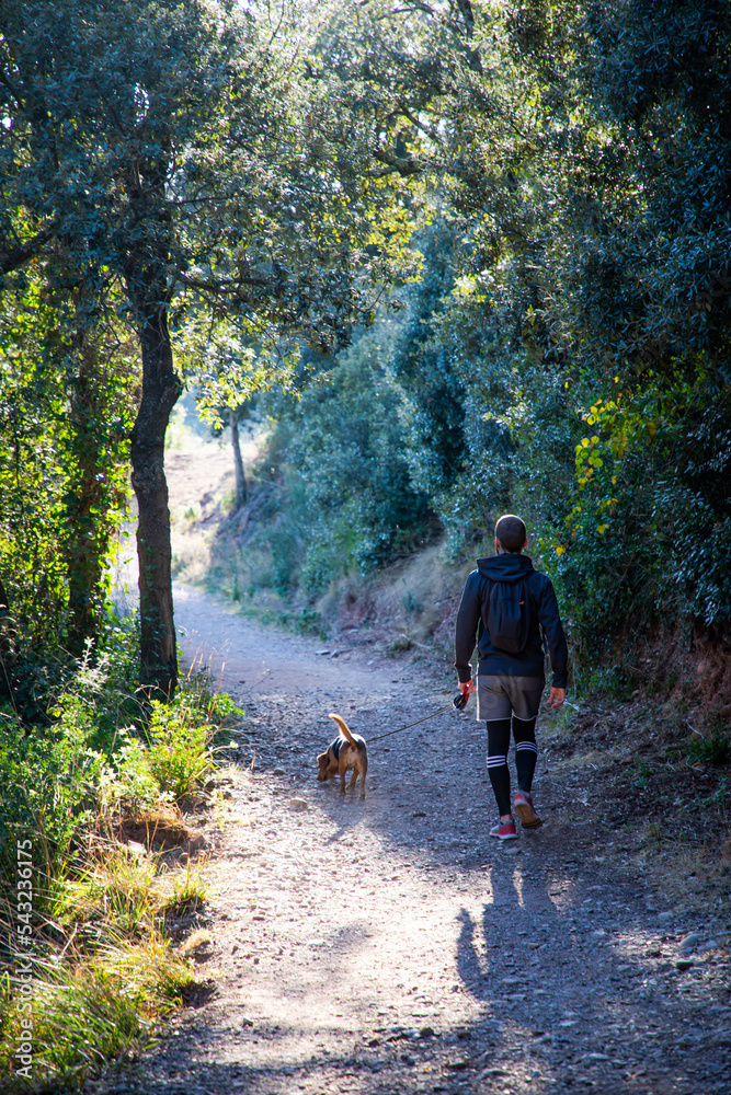 Blonde caucasian man hiking on the mountain with his dog on spring during sunset back shot