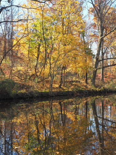An autumn scene in the forest with the leaves reflecting into the river.