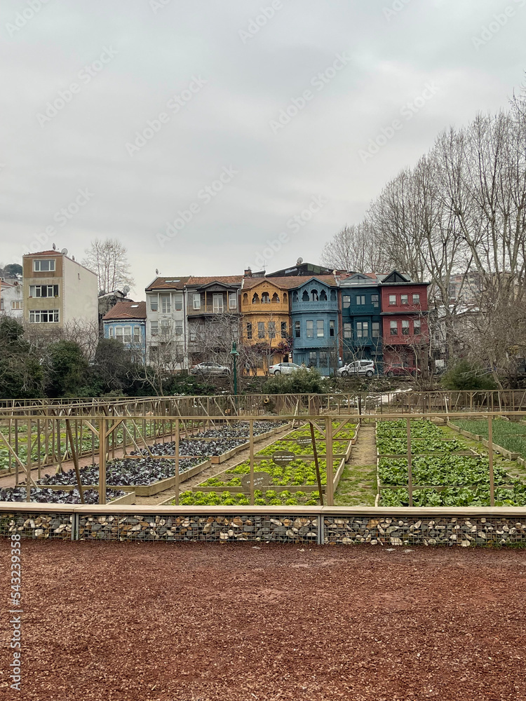 Obraz premium Beautiful Balat district - popular tourist attraction in Istanbul, Turkey.
