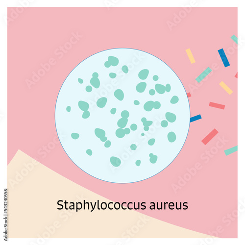 8 Bacteria Theme Staphylococcus aureus