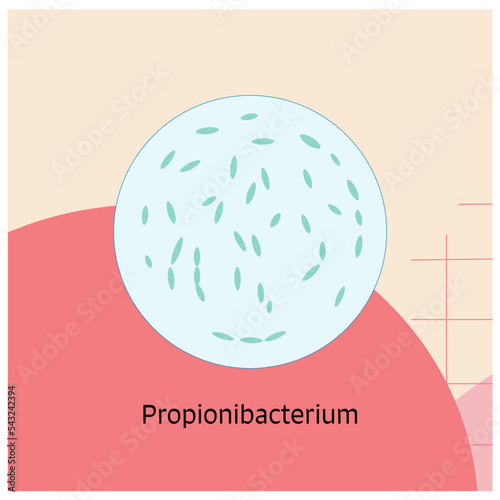15 Bactery Theme Propionibacterium