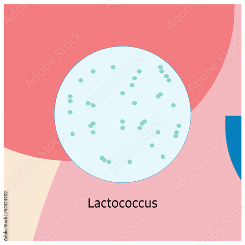 21 Bacteria Theme Lactococcus