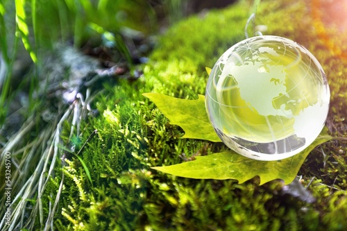 Glass globe in green nature. Ecology