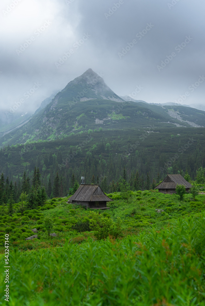 High Tatras have nice huge mountains with sharp peaks. Fresh green after rain makes a moody day in Tatry Wysokie. Poland landscape and nature. Hala Gasienicowa is scenic place for this national park.
