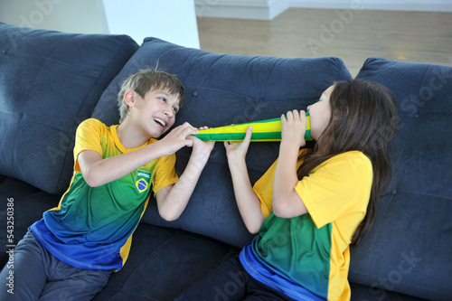juntos comemorando gol brasil copa do mundo vitória feliz 