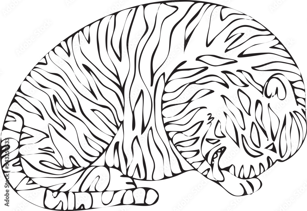 big tiger licking its front paws big tiger licking its front paws