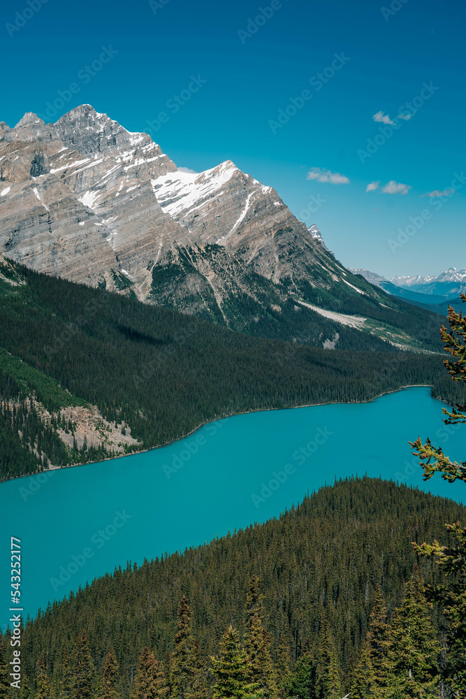 Blue Peyto lake in the Rocky mountains on a sunny day