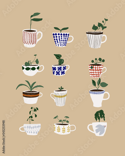 Coffee cups with cuttings photo