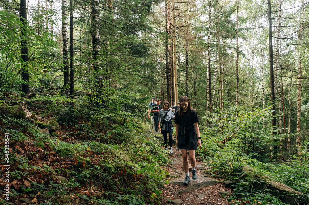 A group of young tourists are hiking along a path in the mountains in the middle of the forest. Active recreation in the mountains with friends.